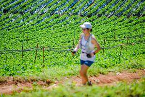 BIB: 
                            <button type="button" onclick="openModal(19164070)" class="btn btn-primary btn-sm float-right btn-popup" data-toggle="modal" data-target=".modal-high-quality">
                        <i class="fas fa-shopping-cart"></i> Add to Cart
                    </button>
                                            <button type="button" onclick="isThisMe(19164070, true)" class="btn btn-success btn-sm float-right btn-popup btn-isme hidden" data-toggle="tooltip" data-placement="bottom" title="นี่คือรูปของคุณใช่ไหม คลิกที่นี่เพื่อเอาเข้าอัลบั้ม">
                        <i class="fas fa-plus"></i> Add to album
                    </button>
                    <button type="button" onclick="isThisMe(19164070, false)" class="btn btn-warning btn-sm float-right btn-popup btn-isnotme hidden">
                        <i class="fas fa-ban"></i> Remove from album
                    </button>